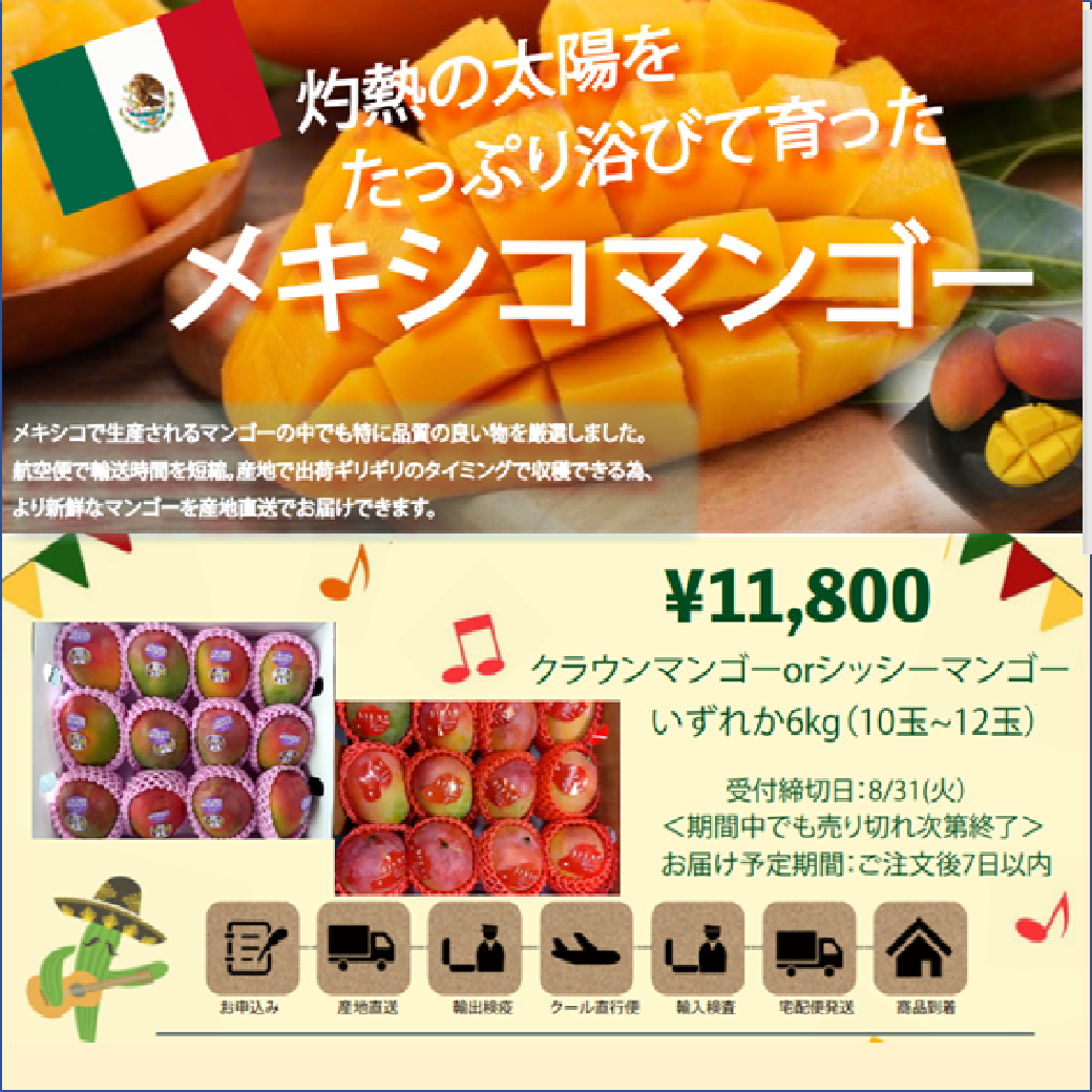 メキシコマンゴー発売中 8月末まで ハウインターナショナル 愛知県名古屋市の旅行会社